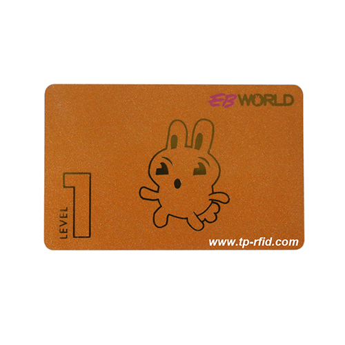 FM11RF08 Card 13.56MHz Fudan 1K Card